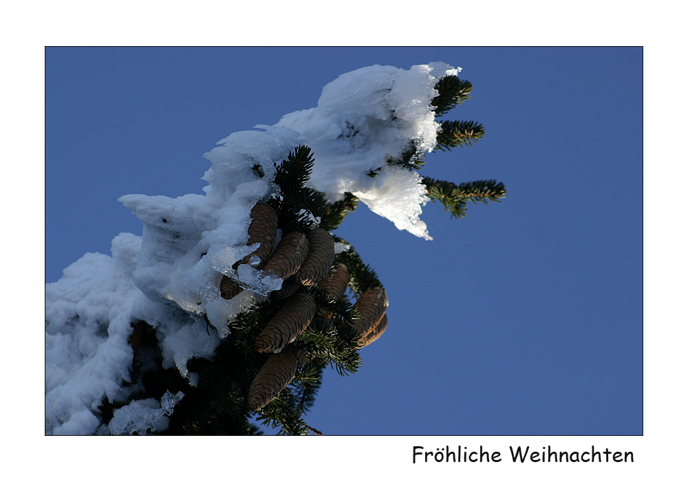 Fröhliche Weihnachten / Merry Christmas