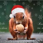 Fröhliche Weihnachten red squirrel