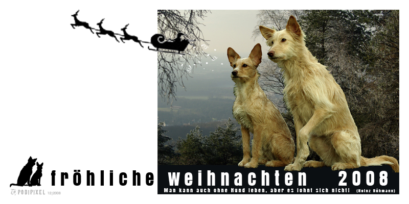 fröhliche Weihnachtszeit