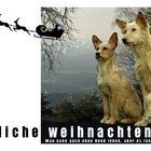 fröhliche Weihnachtszeit