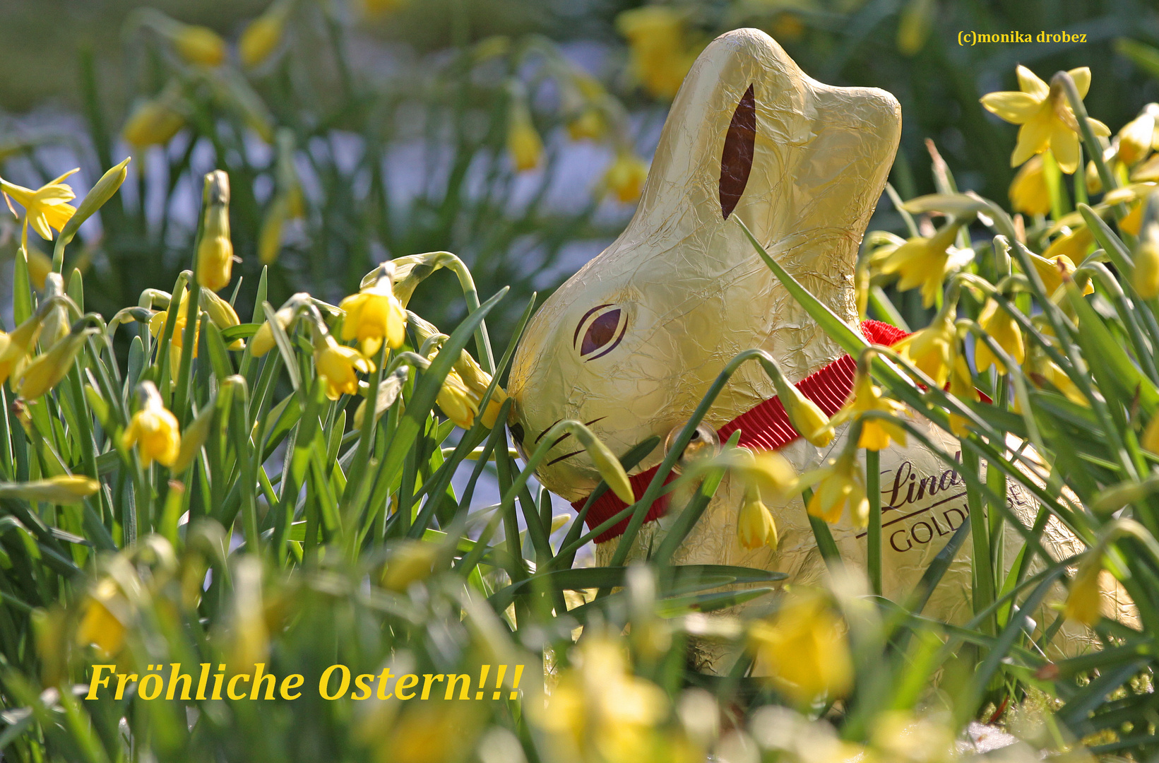 ...fröhliche, wunderbare Ostertage...