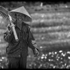 Fröhlicher Gärtner in Vietnam