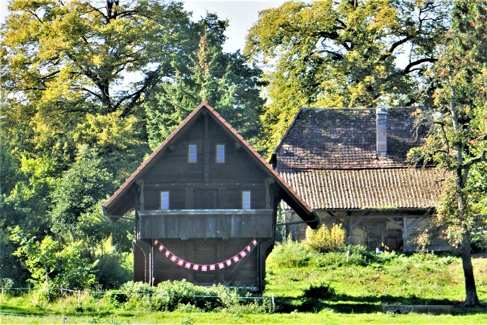 fröhlicher Speicher