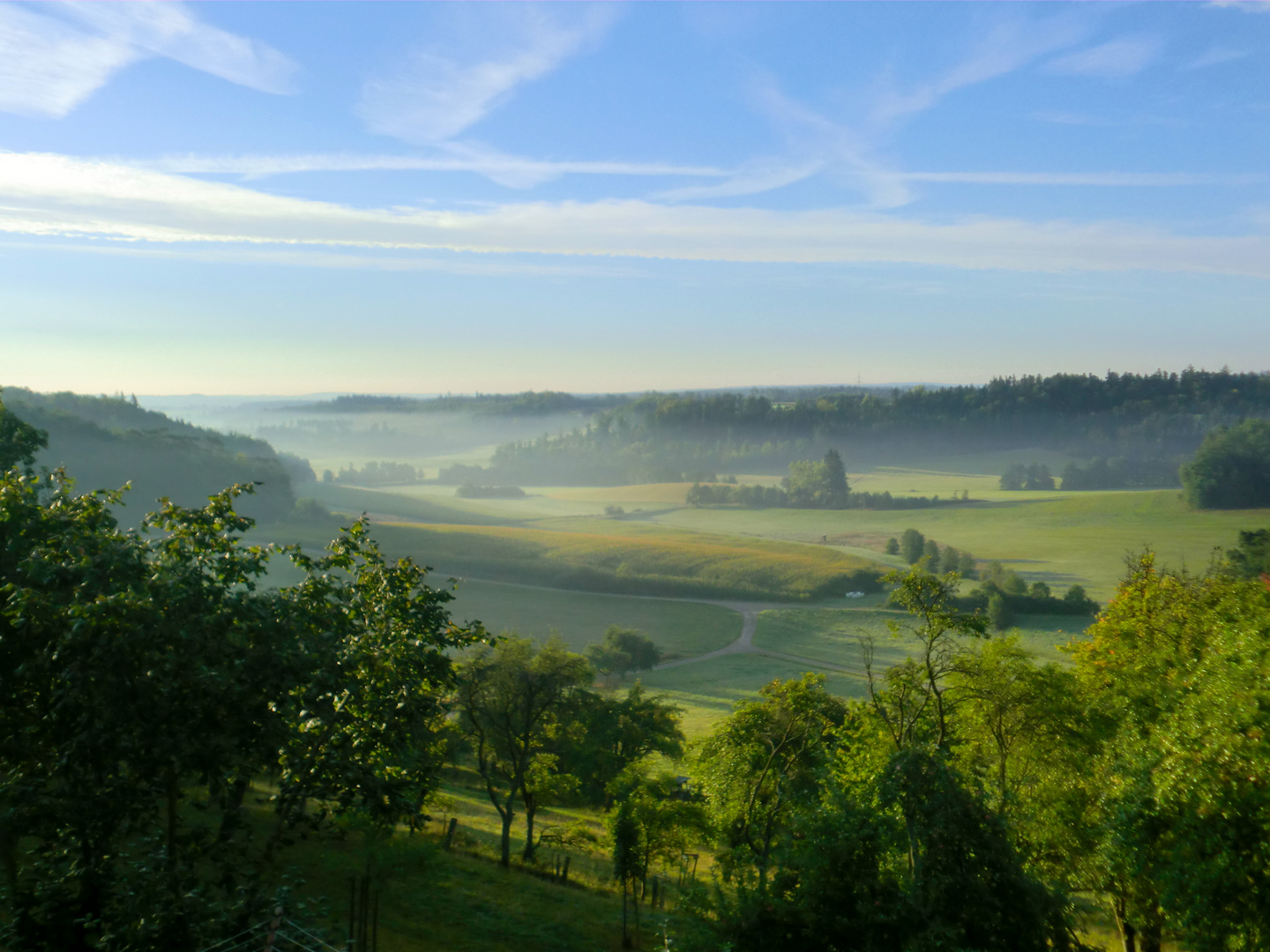 Fröhlicher Talausblick