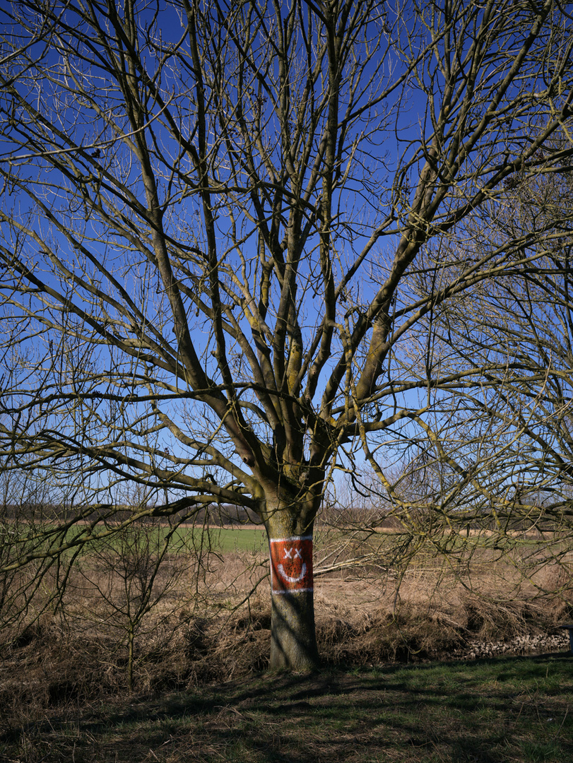 Fröhlicher Vorfrühlingsbaum