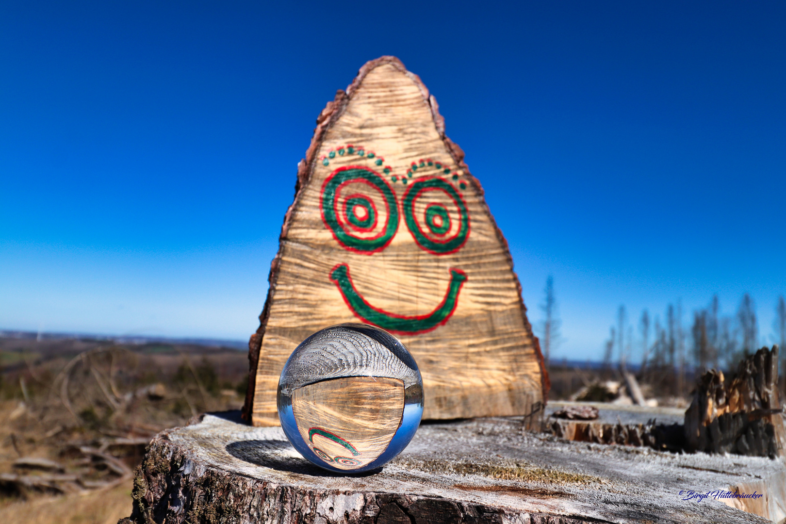 Fröhliches Gesicht im Wald