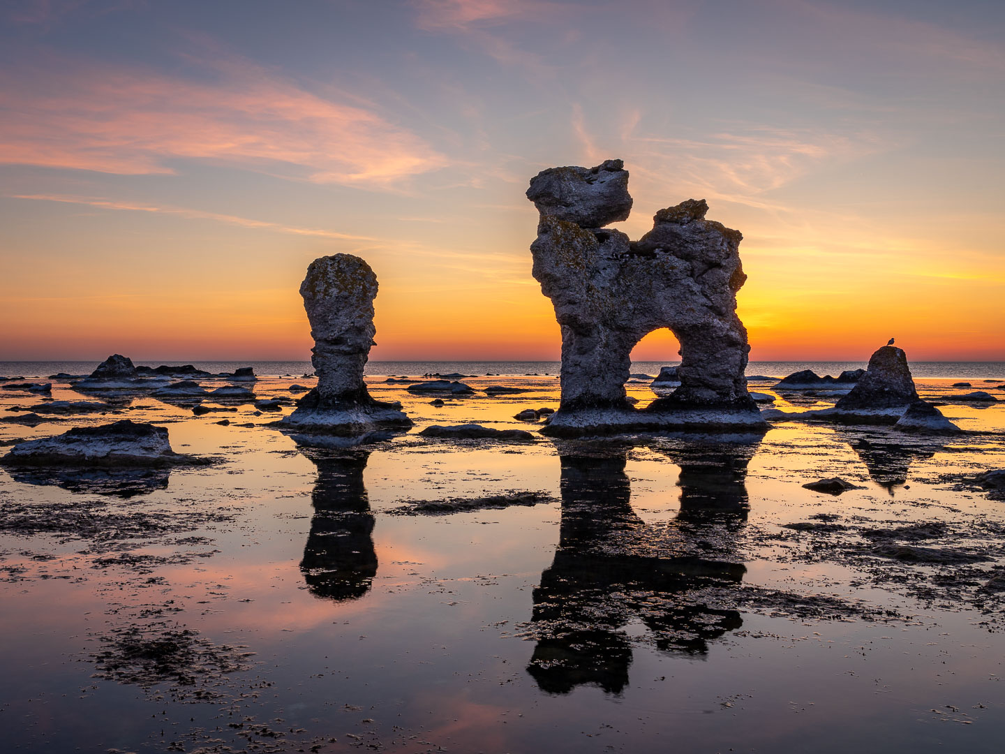 Fårö’s Rauk "The Dog"