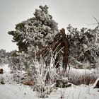 Fröttmaninger Heide im Winter