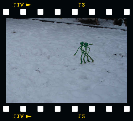 [Froggi & Groggi im Schnee]