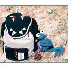 Froggi und der Krokodilrucksack