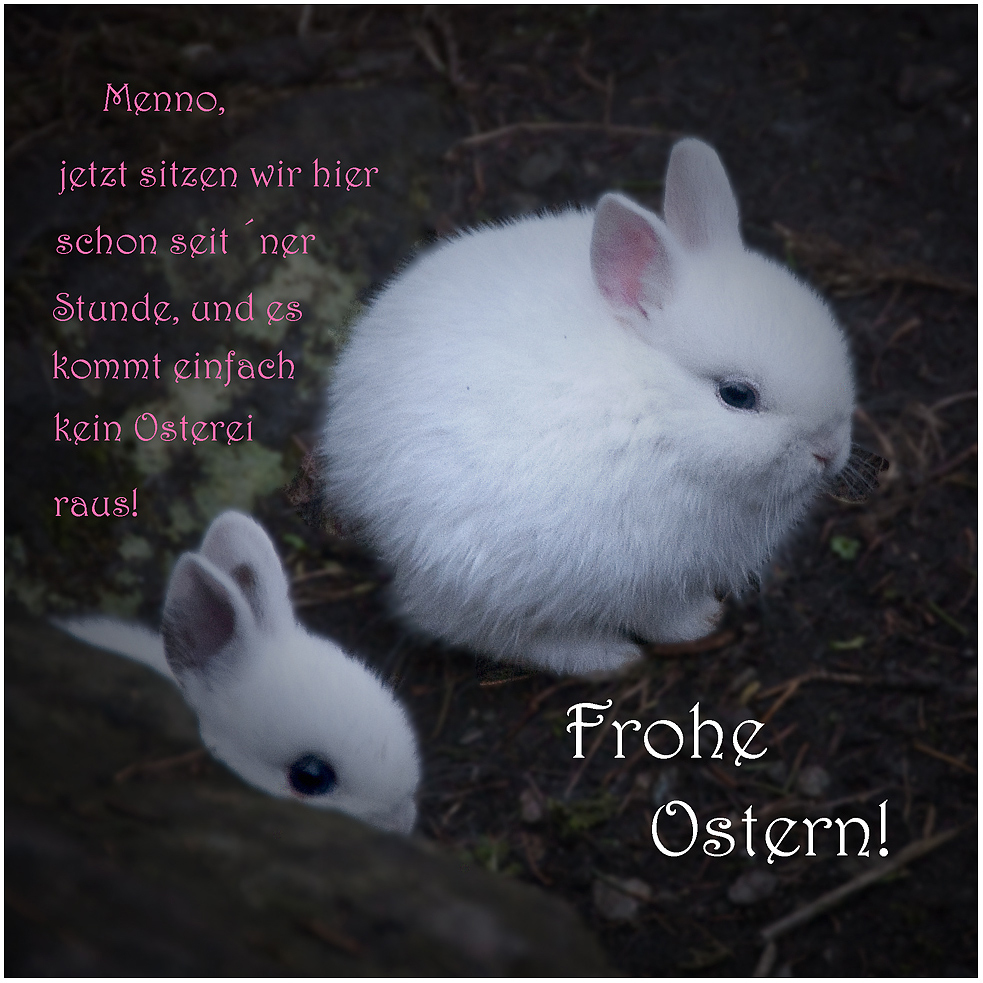 Frohe Eierei!