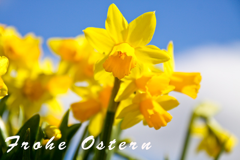 frohe FC Ostern