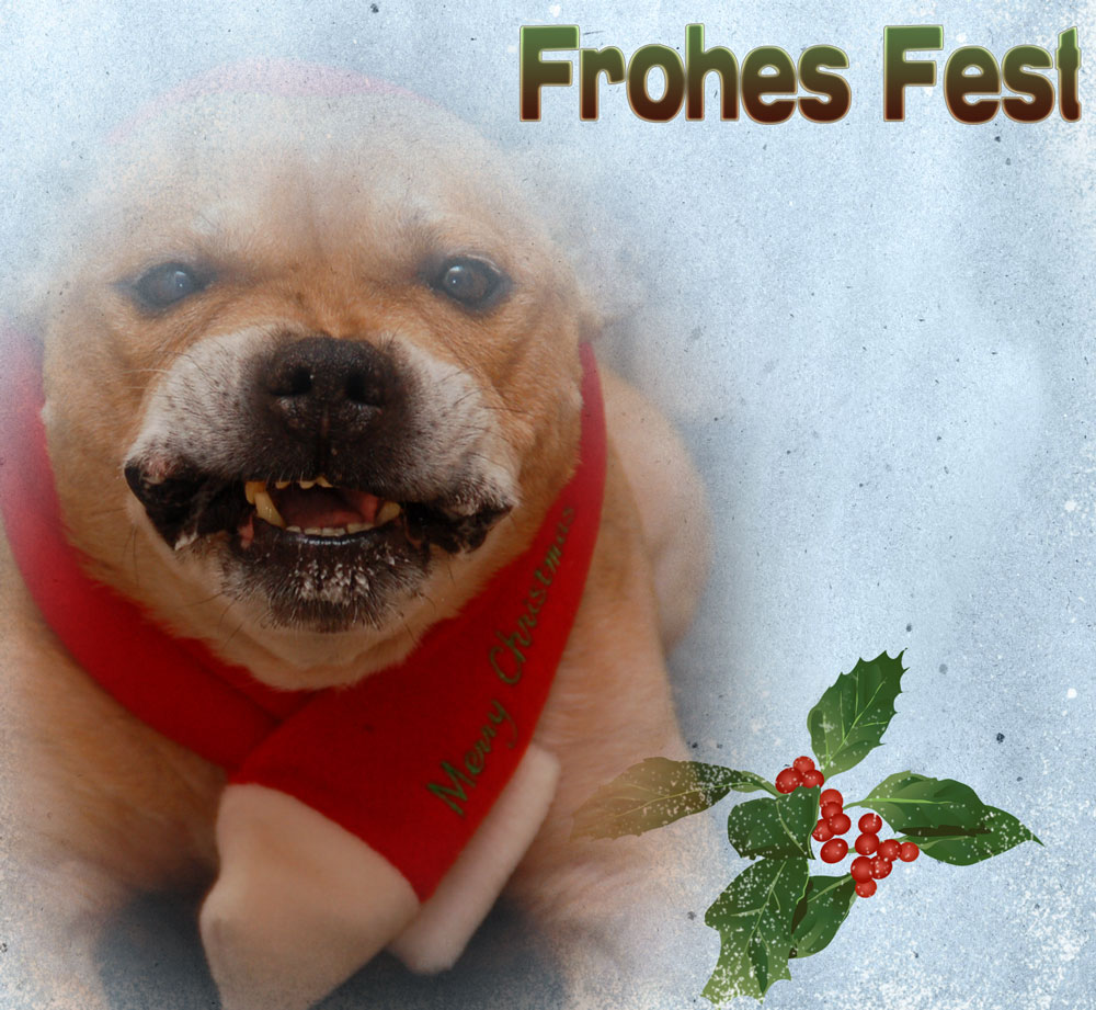 Frohe Fest