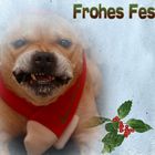 Frohe Fest