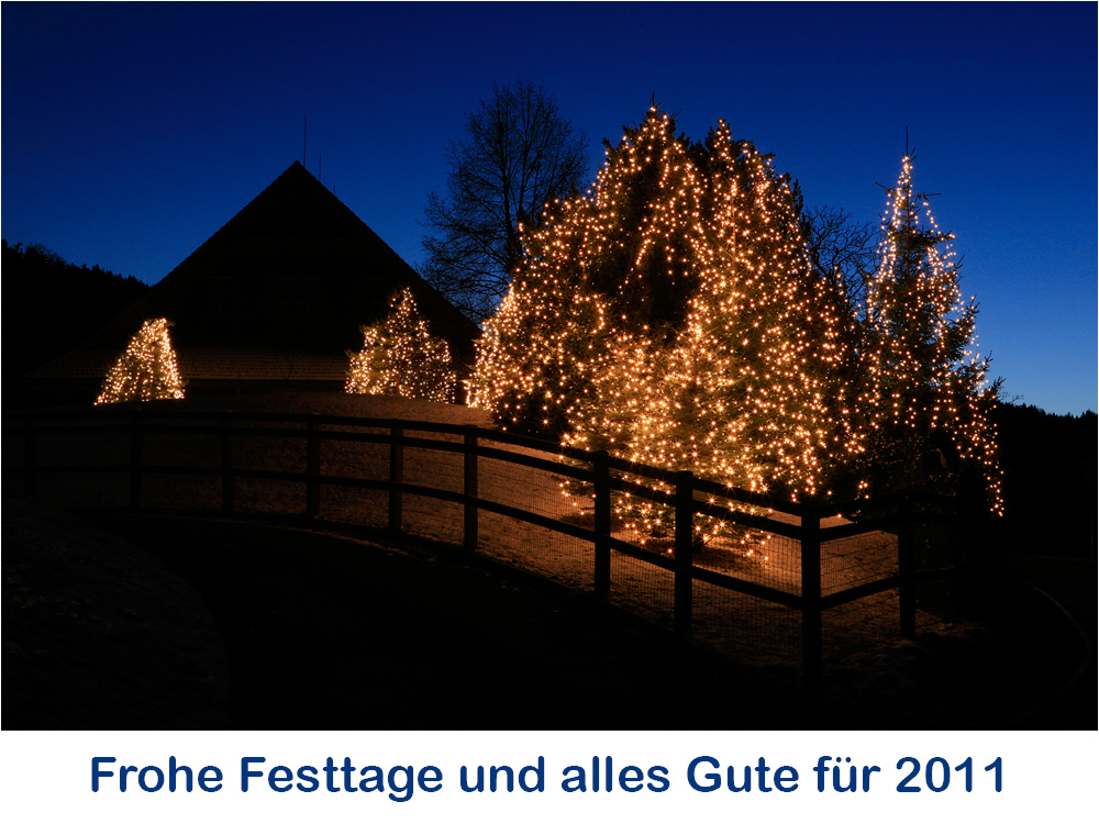 Frohe Festtage