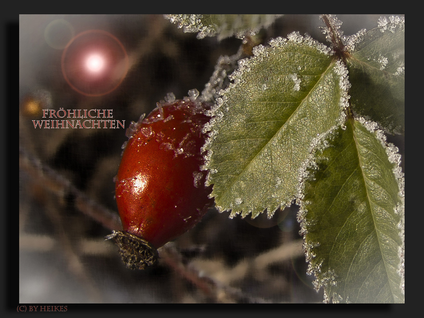 Frohe Festtage&hellip;&hellip; Foto &amp; Bild | gratulation und feiertage