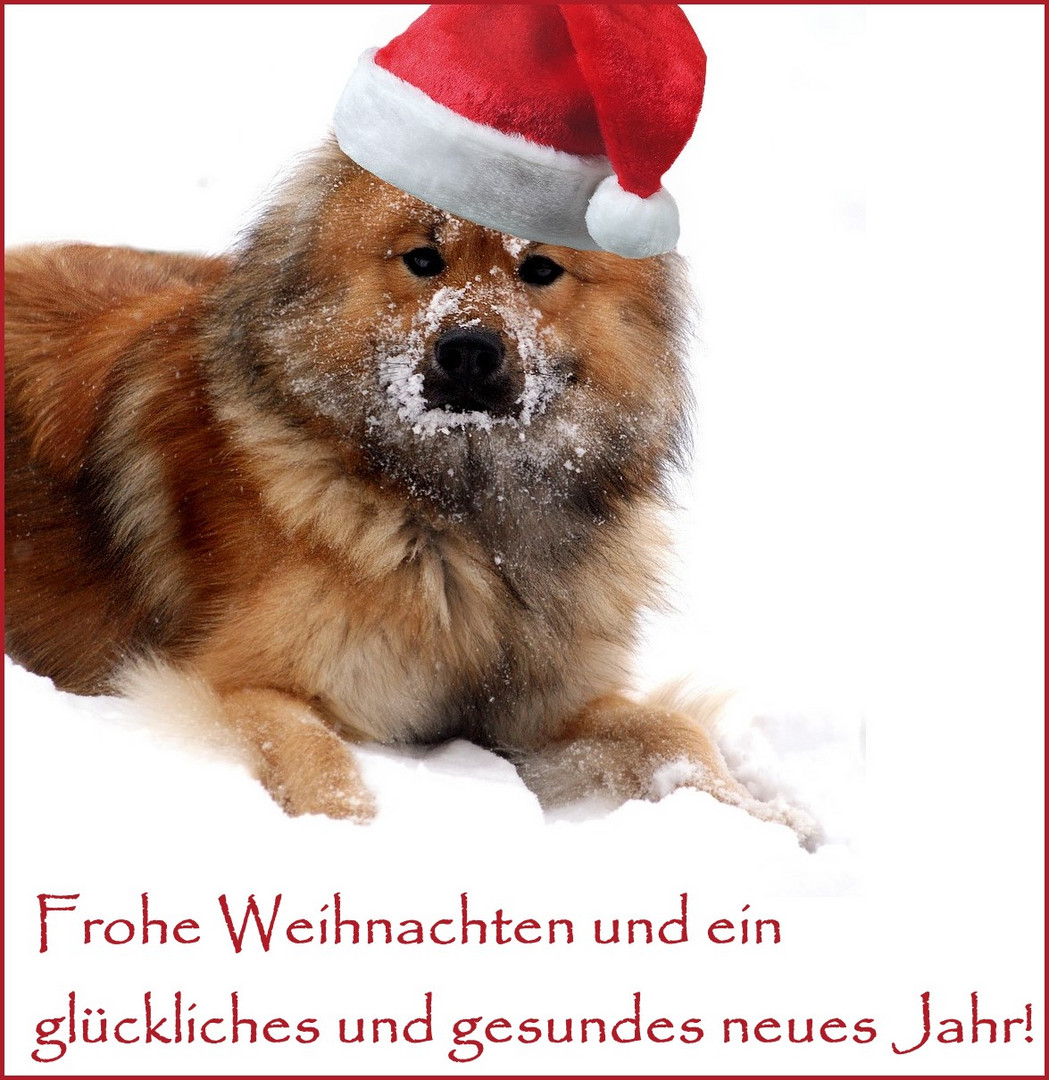 Frohe Festtage...