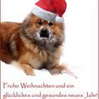 Frohe Festtage...