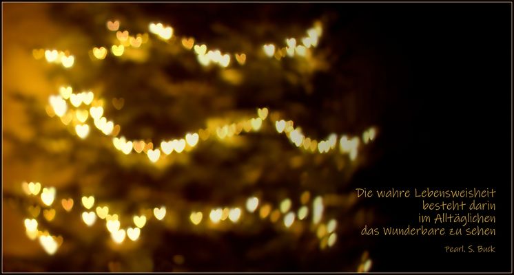 Weihnachten / Christmas Bilder &amp; Fotos