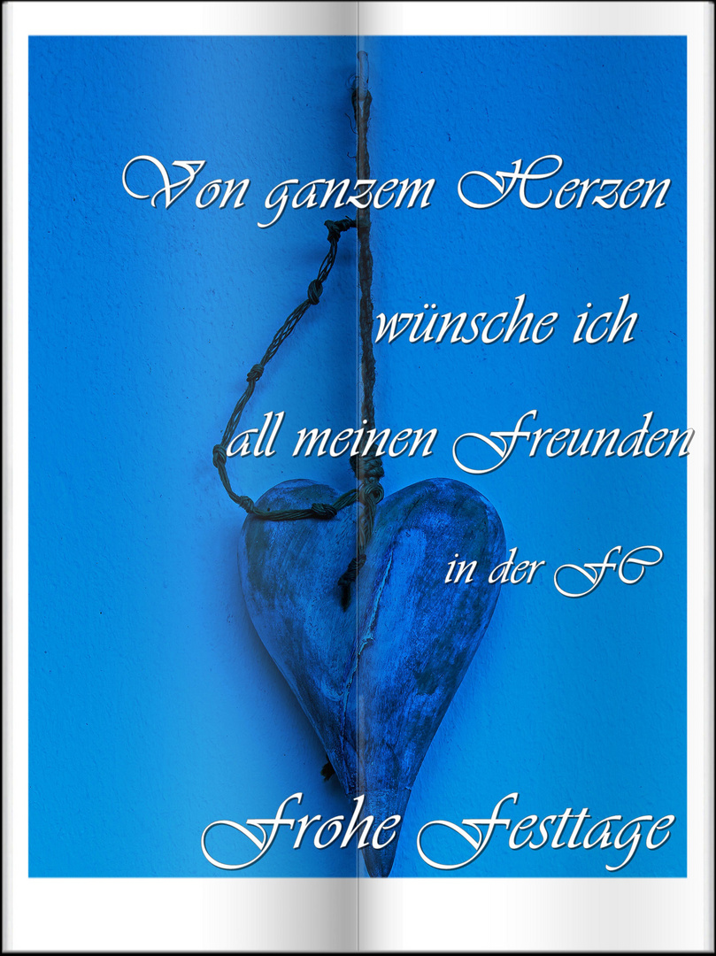 Frohe Festtage !!!