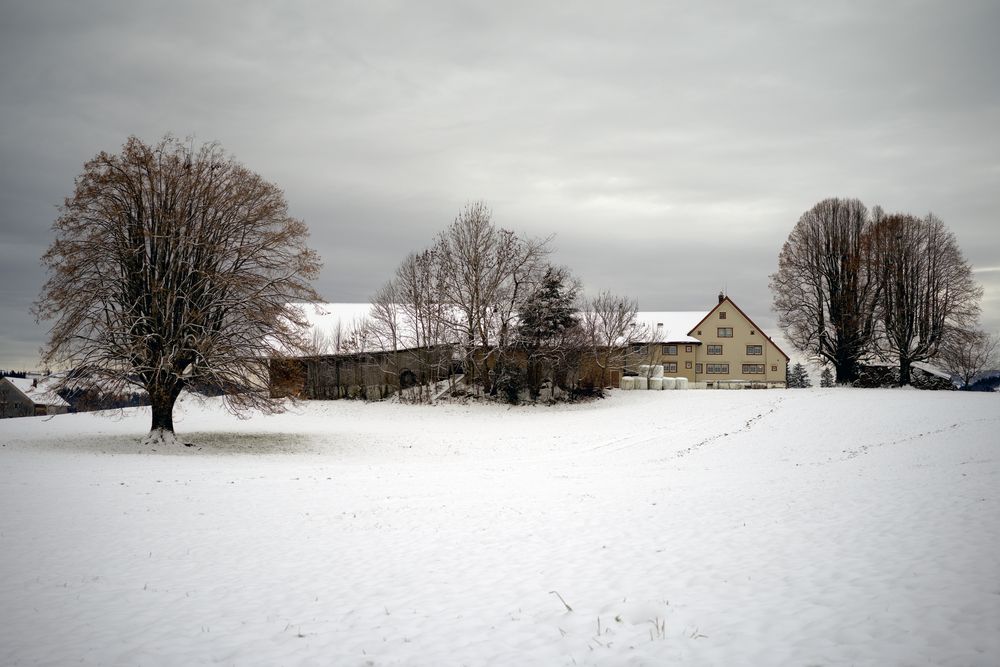 Frohe Festtage - und Prosit Neujahr