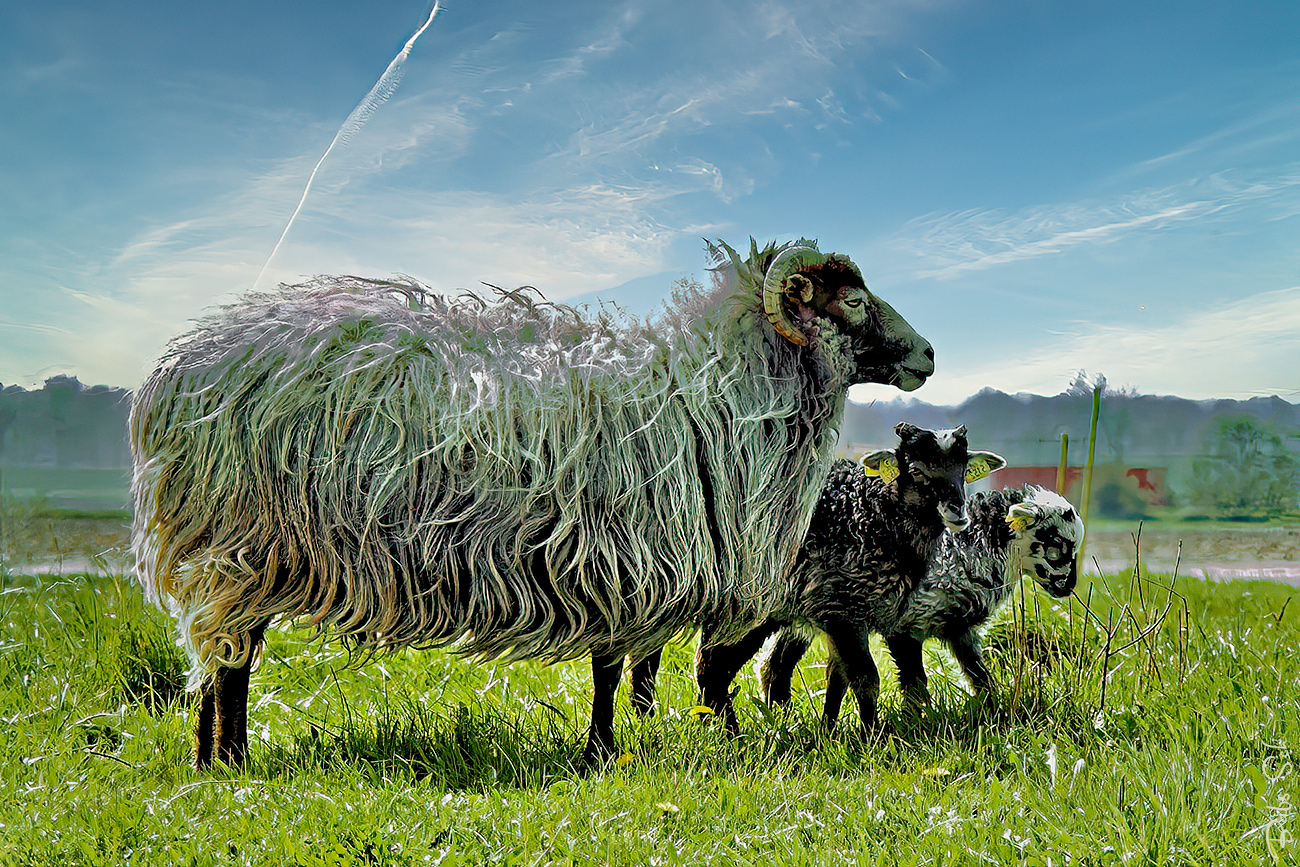 Frohe, gesunde Ostern