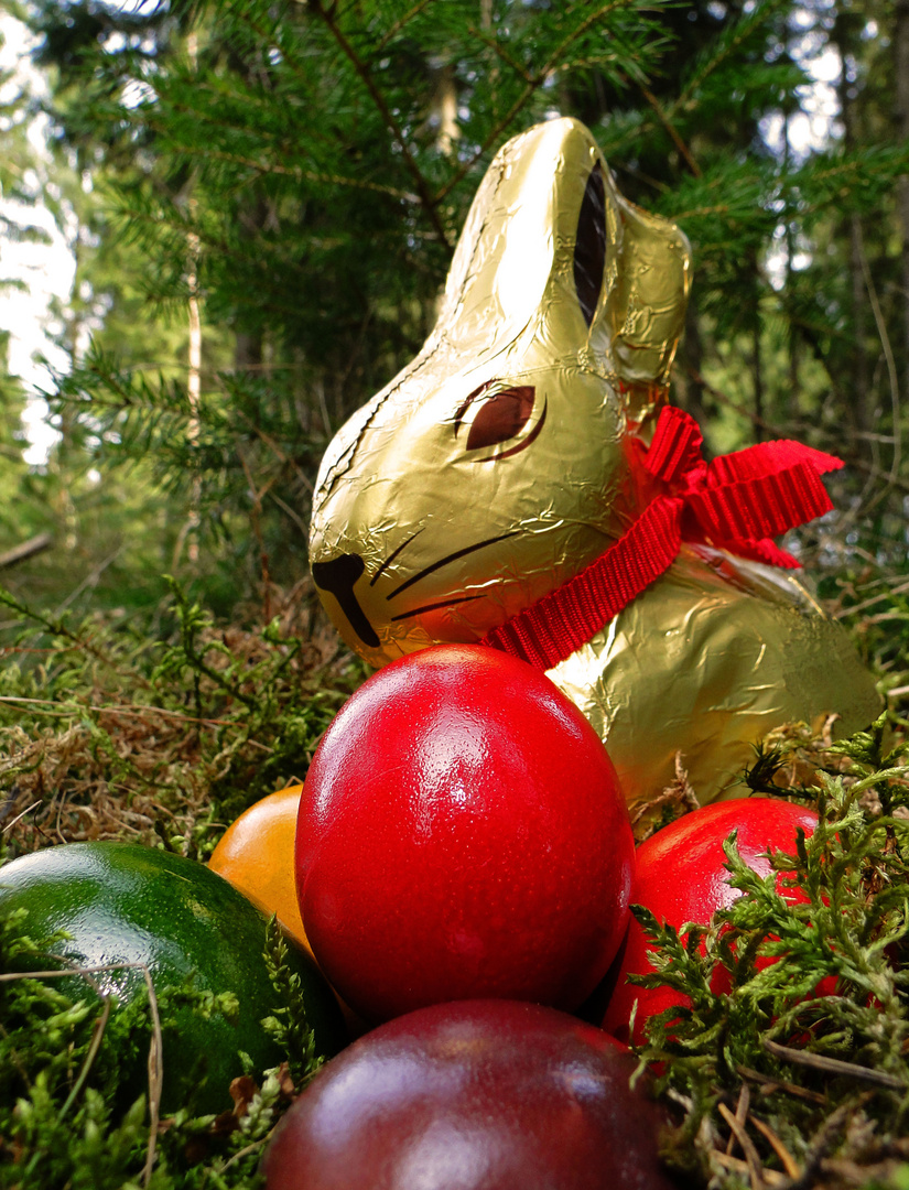 Frohe (grün oder weiße) Ostern !!!!