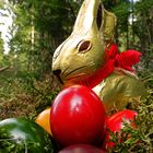 Frohe (grün oder weiße) Ostern !!!!