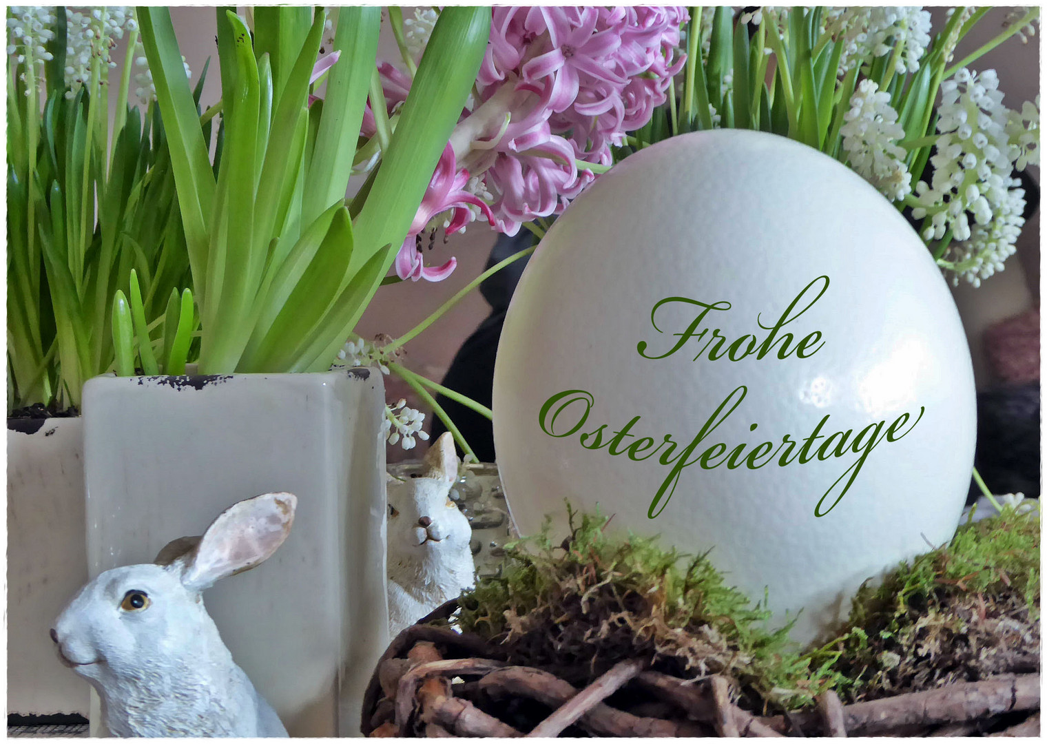 Frohe Osterfeiertage Foto & Bild karten und kalender, osterkarten