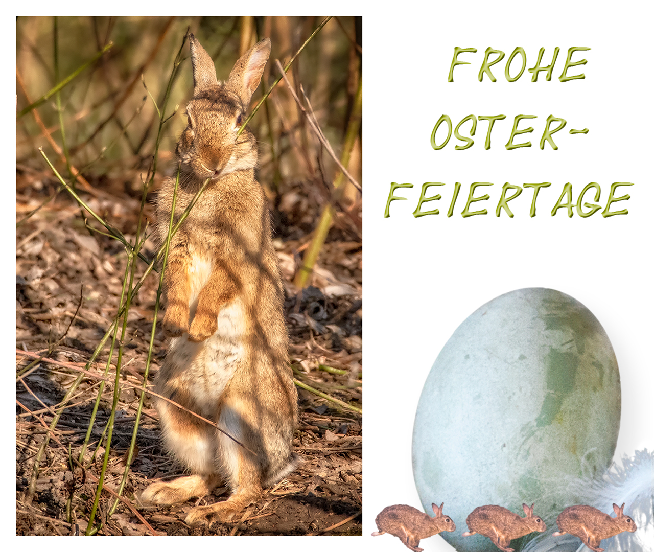 Frohe Osterfeiertage