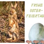 Frohe Osterfeiertage