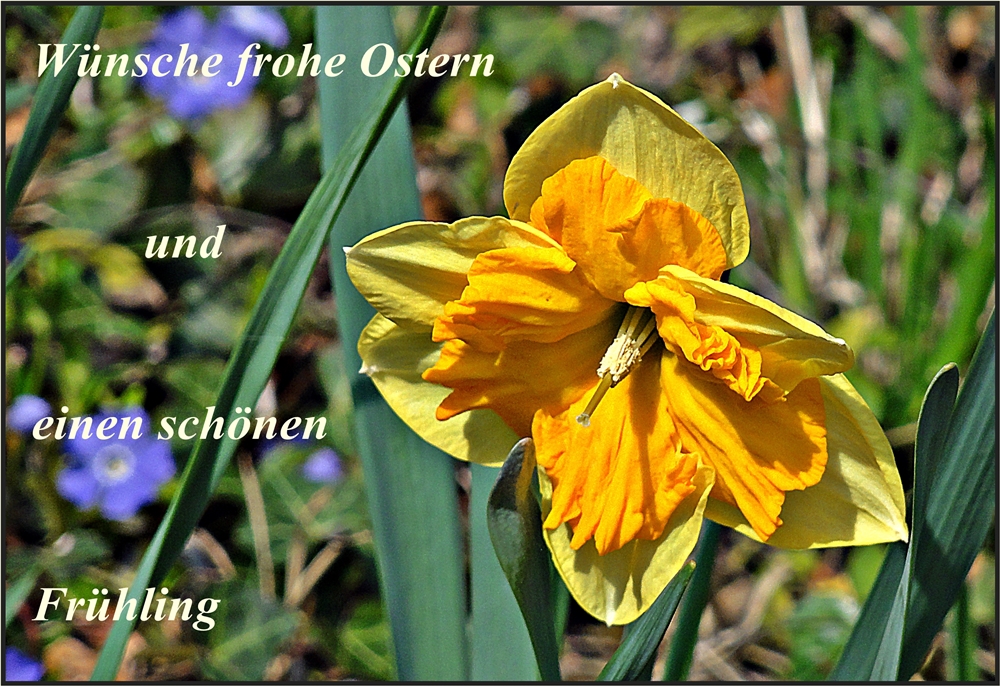 Frohe Osterfeiertage