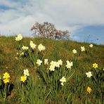 Frohe Osterfeiertage