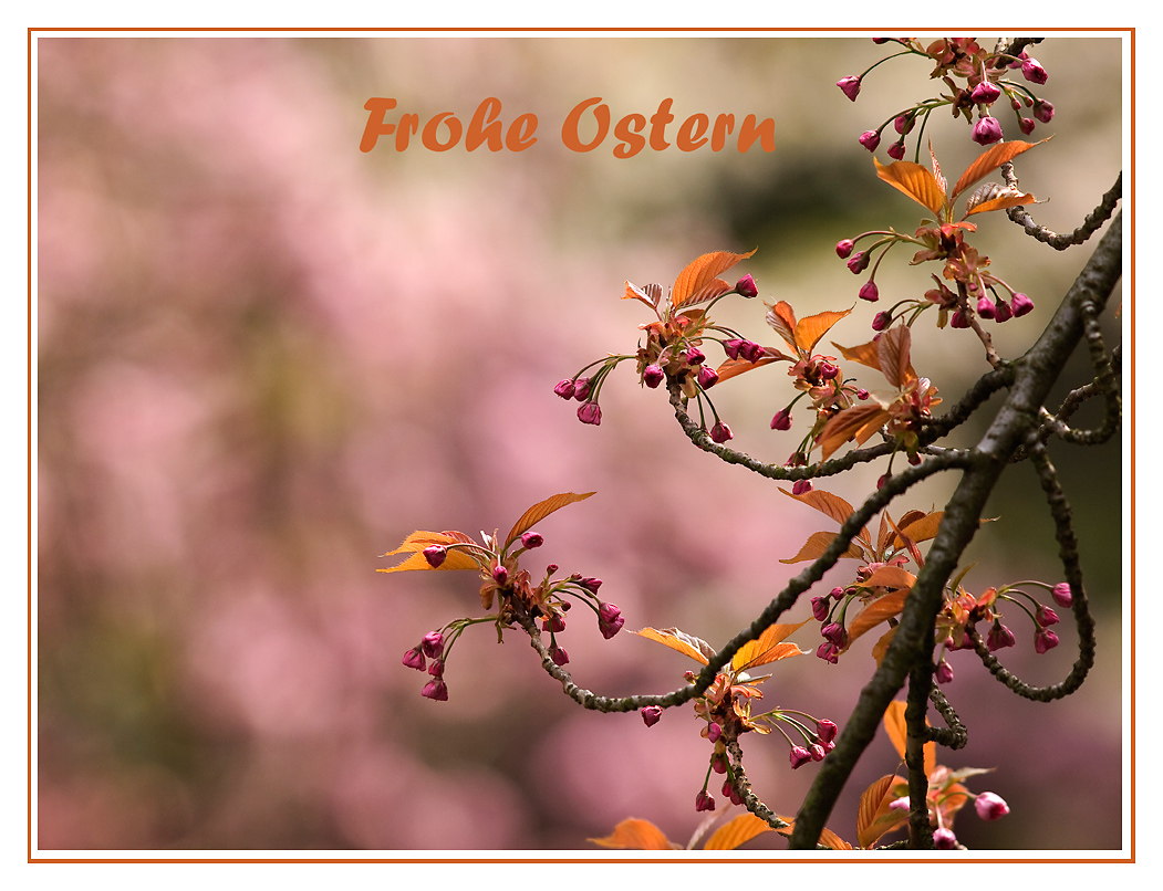 Frohe Ostern......