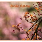 Frohe Ostern......