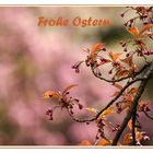 Frohe Ostern......