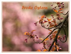 Frohe Ostern......