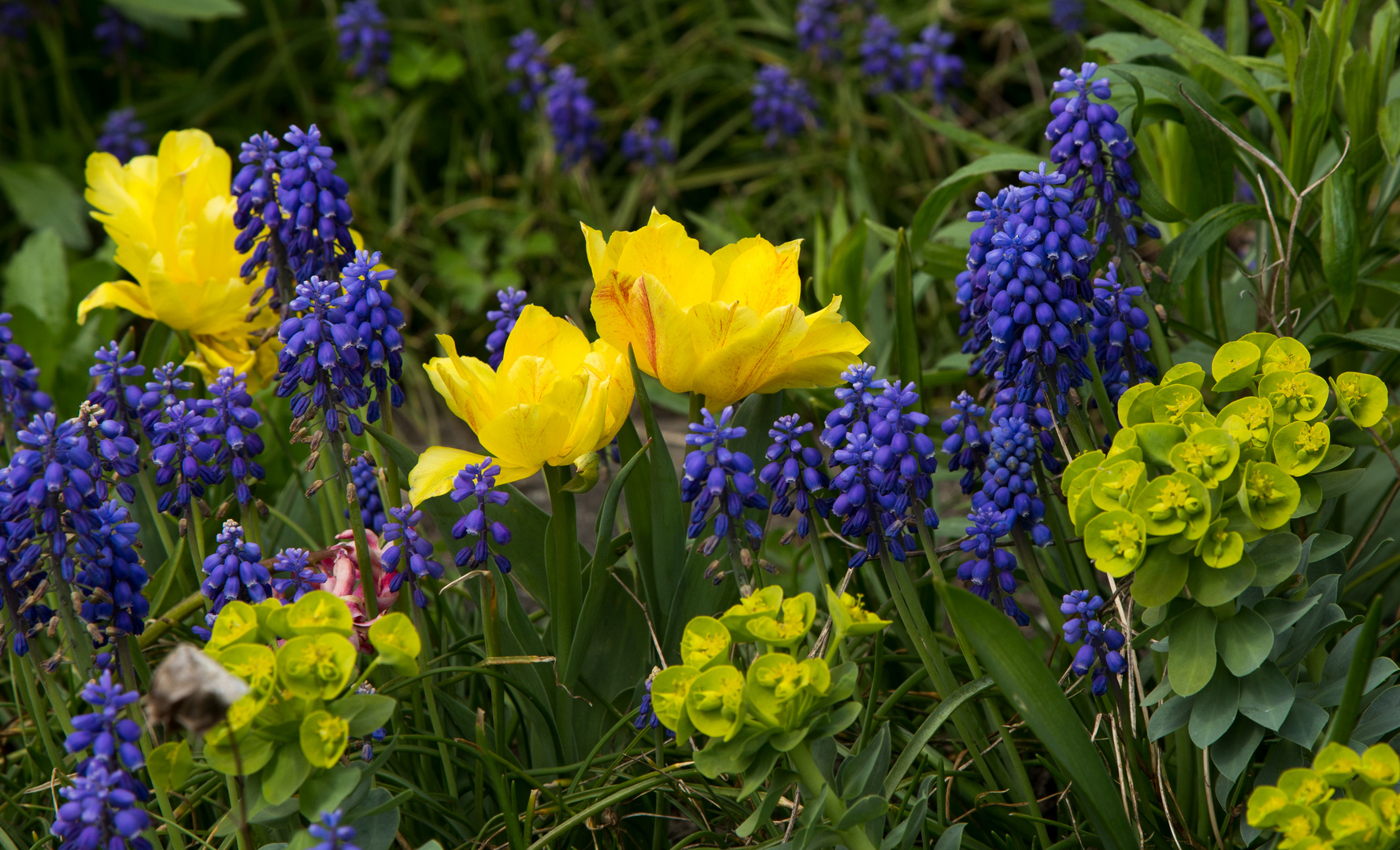 Frohe Ostern