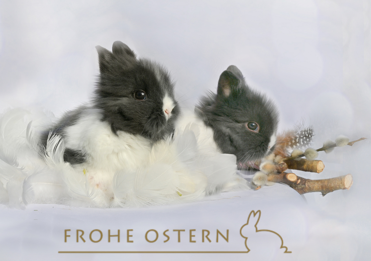 frohe ostern