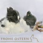 frohe ostern