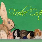 Frohe Ostern!