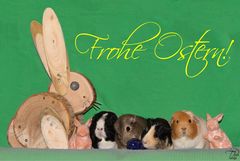 Frohe Ostern!