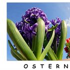 Frohe Ostern..