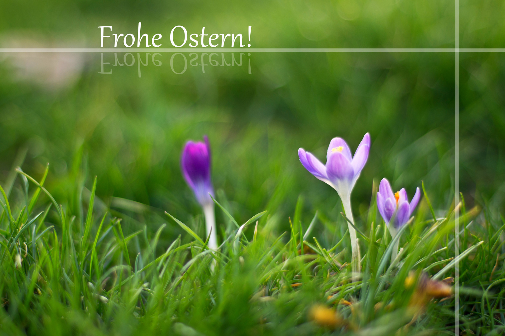 Frohe Ostern