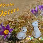 FROHE OSTERN