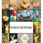 Frohe Ostern!