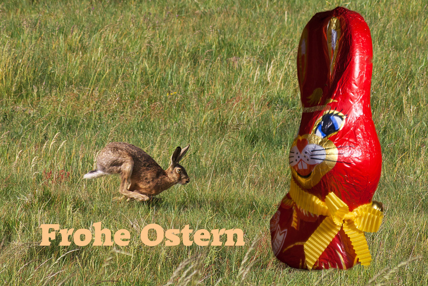 Frohe Ostern !