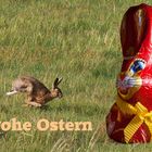 Frohe Ostern !