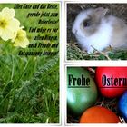 Frohe Ostern...