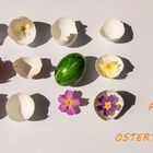 Frohe Ostern!